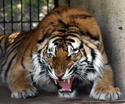 Сергей Егоркин