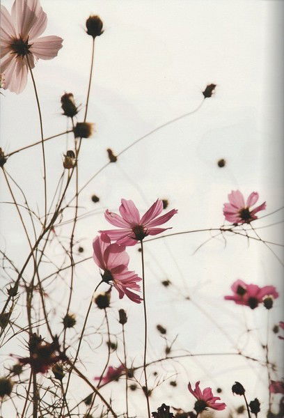 Алёна Козлова