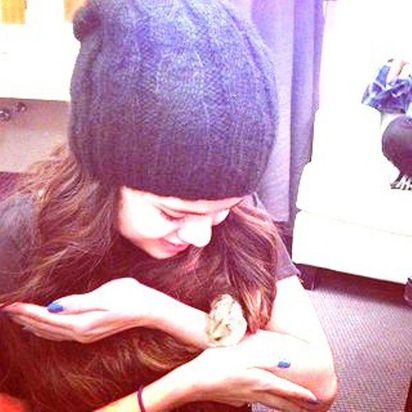 Роза Жакупова