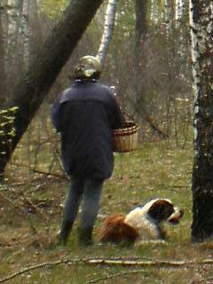 Наталия Мечева