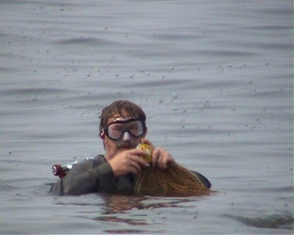 Владимир Парфенов