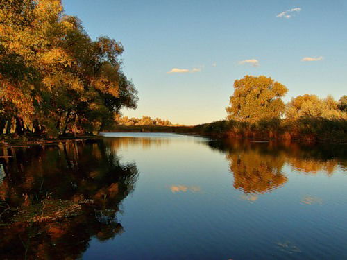 Петр Жежель