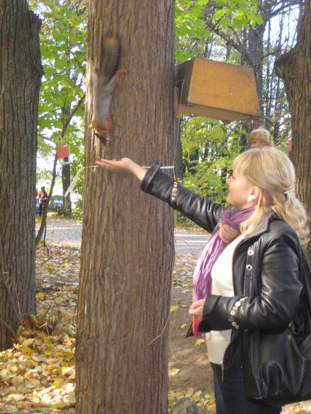 Элина Уракова