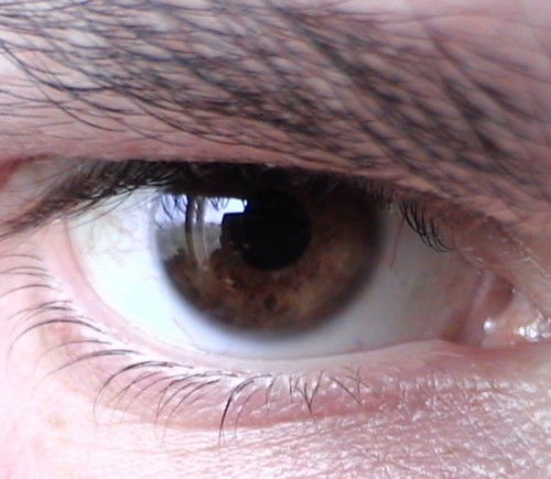 Александр Из 7 Букв