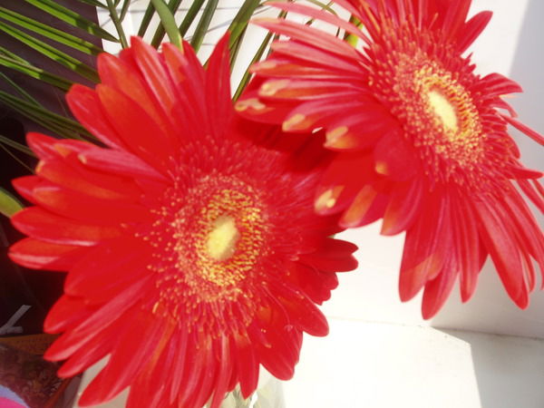 Людмила Федотова