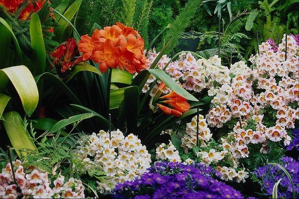 Валентина Новикова