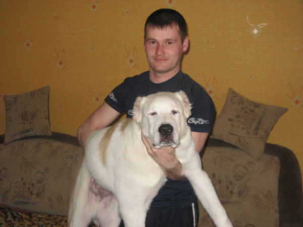 Дмитрий Широбоков