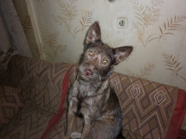 Людмила Глухова