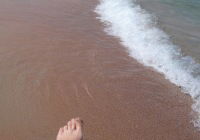 Екатерина Верхотурцева