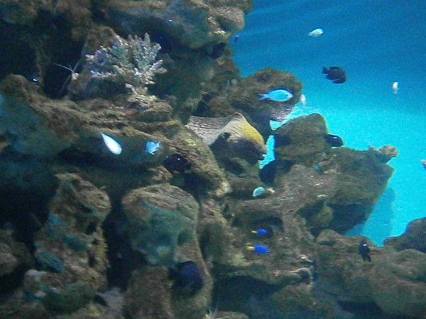 Александр Ингильдеев