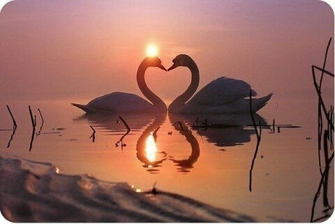 Ардак Есимова