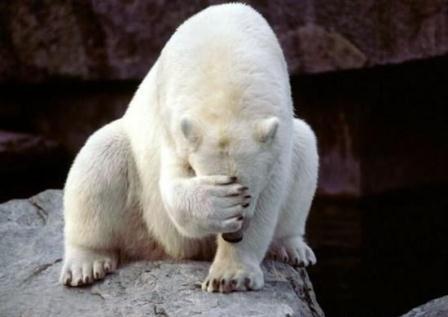 Александр Павлов