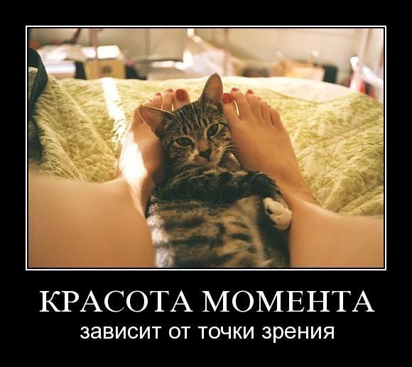 Антон ?........?