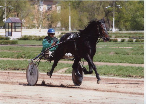 Илья Смирнов