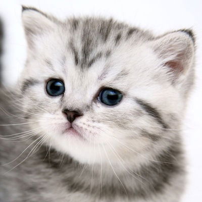 Марина Никольская