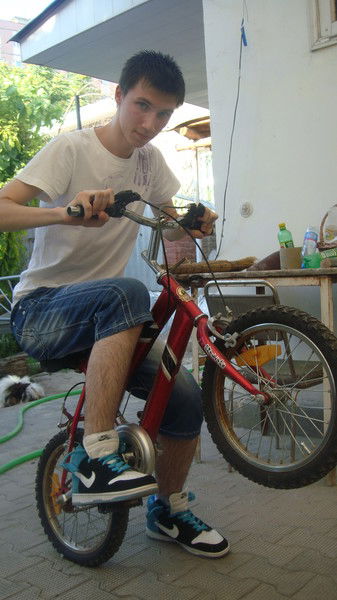 Алексей Шевцов T.a