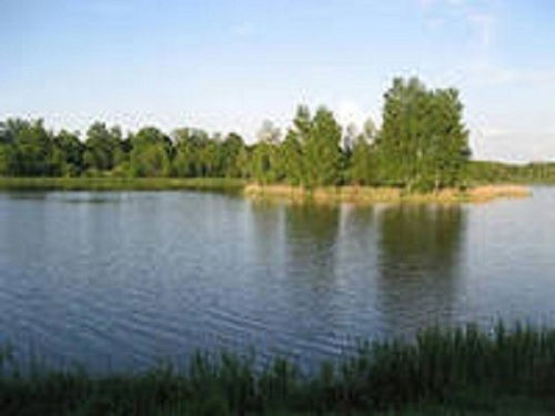 Виктория Петрова