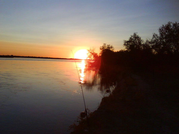 Андрей Борисович