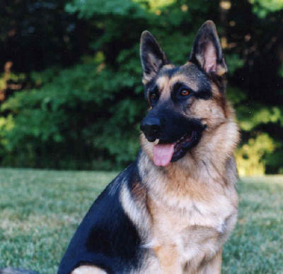 Евгений Курамшин