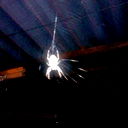 Дмитрий Костенко