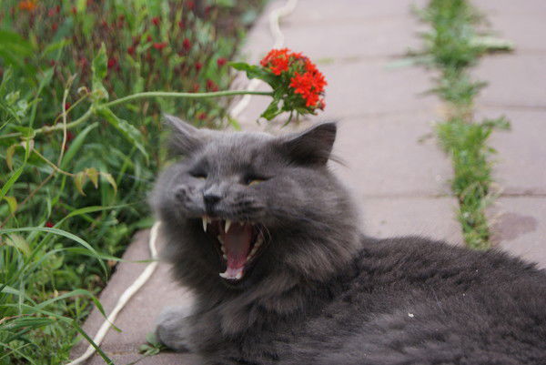 Вера Курохтина