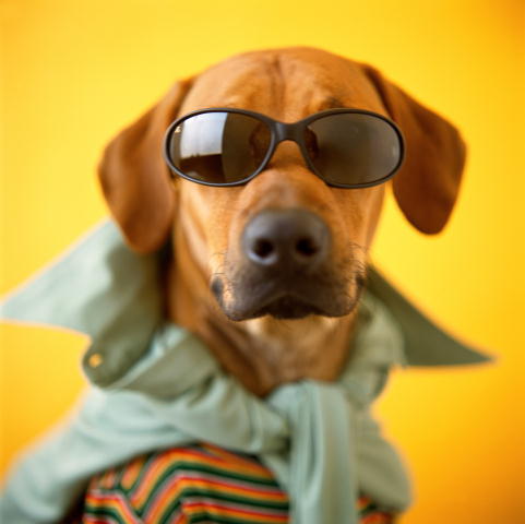 Хайруллин Ринат