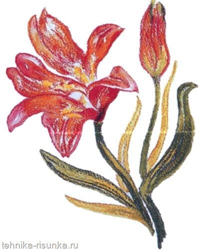 Мадина Сабирова