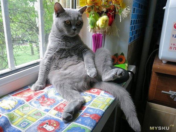 Дмитрий Бутков