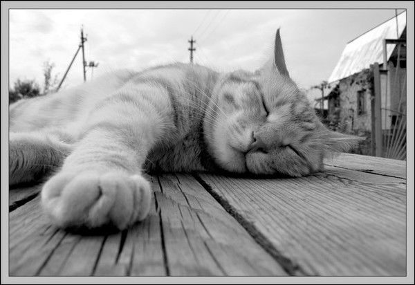 Аня Кабаева