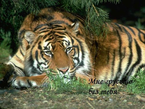 Игорь Рыбалкин