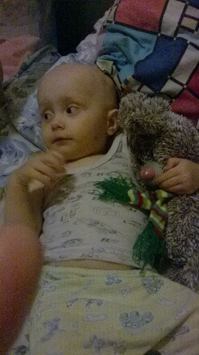 Елена Поварницына