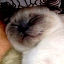 Михаил Богданов