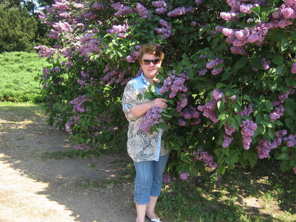 Анна Нечипоренко