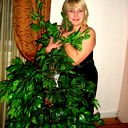 Елена Золотарева