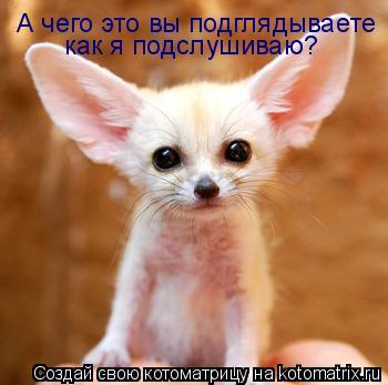 Ектерина Козлова