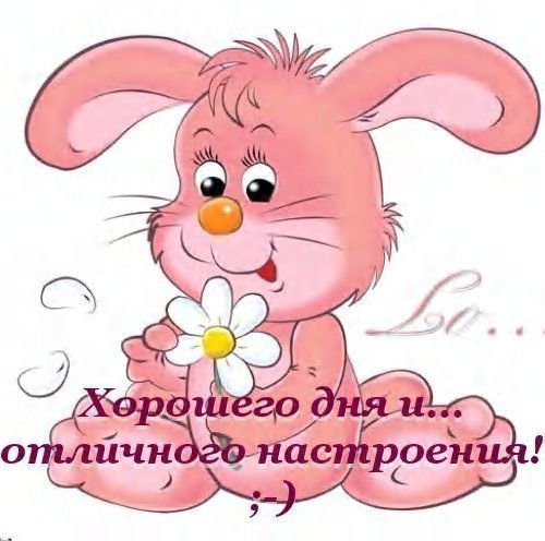 Галина Привалова / Шмер