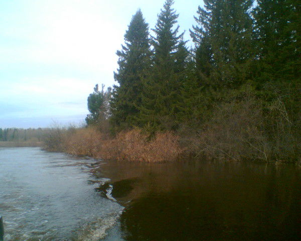 Александр Берилло