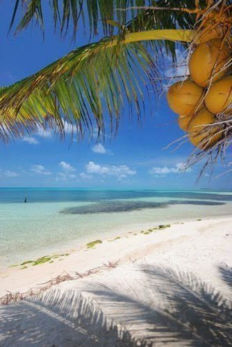 Лилия Субаргушева