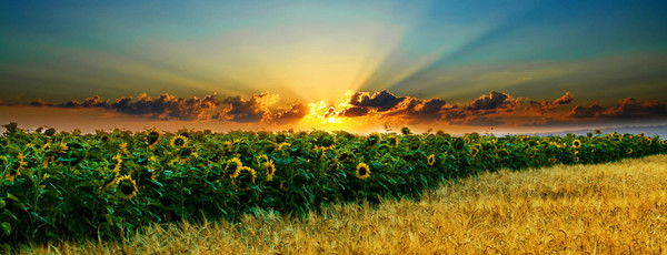 Эрик Забиров