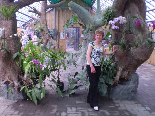 Елена Гончар