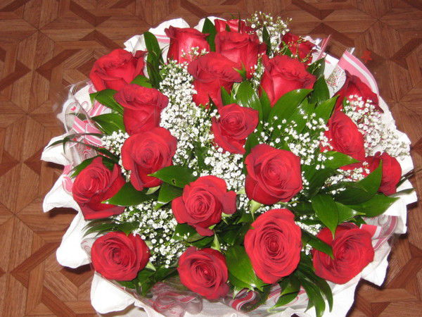 Елена Сорокина