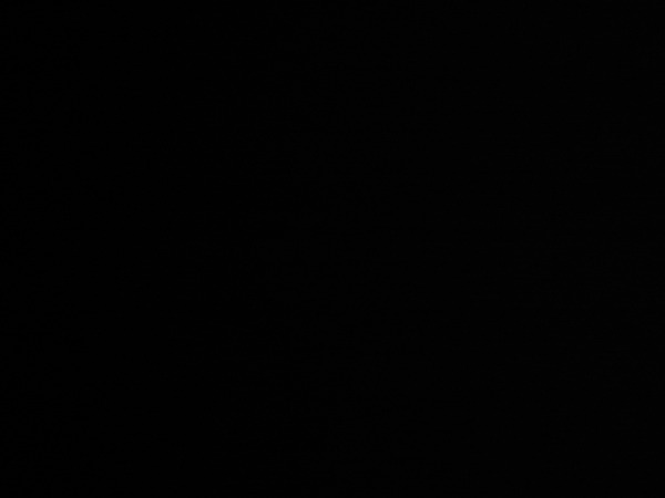 Светлана Исакова