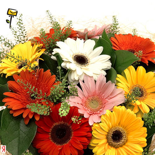 Ирина Дыкина