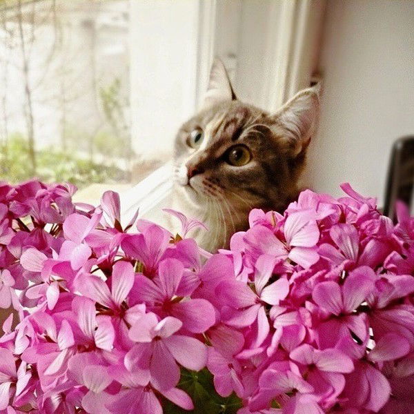 Юлия Тимофеева