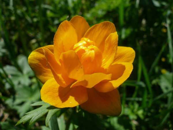 Марина Судакова