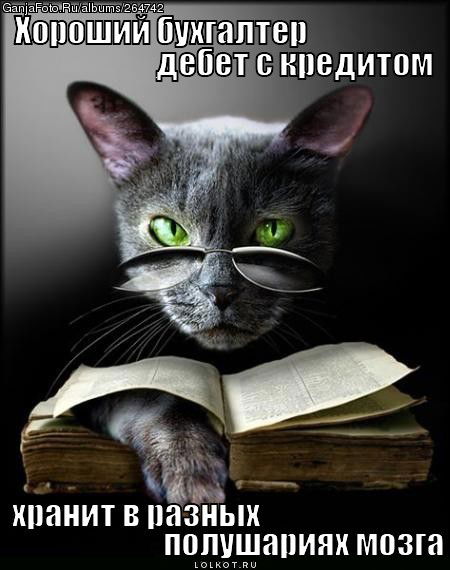 Гефест Бухгалтерия