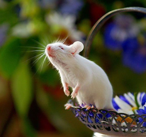 Наталия Кудрявцева