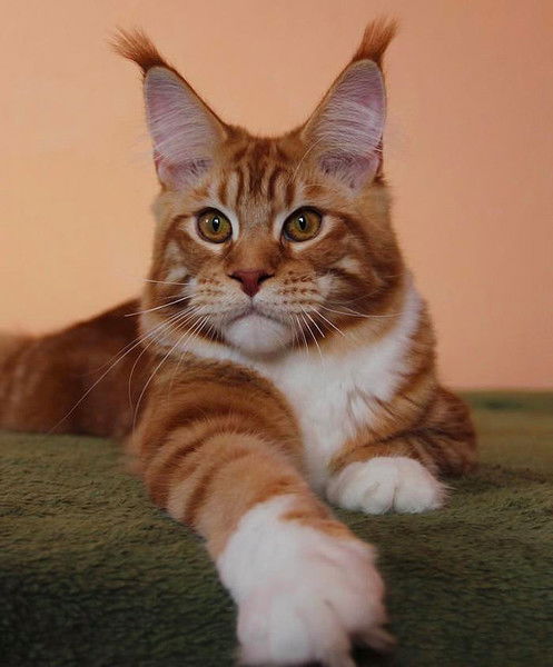 Валентина Заикина