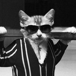 Влад Носов Батька