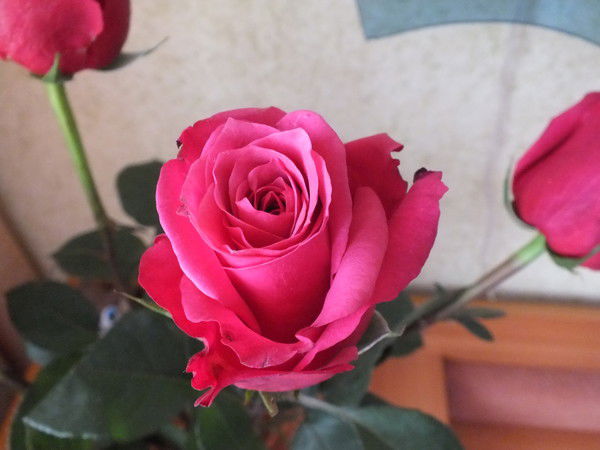 Ольга Бельская